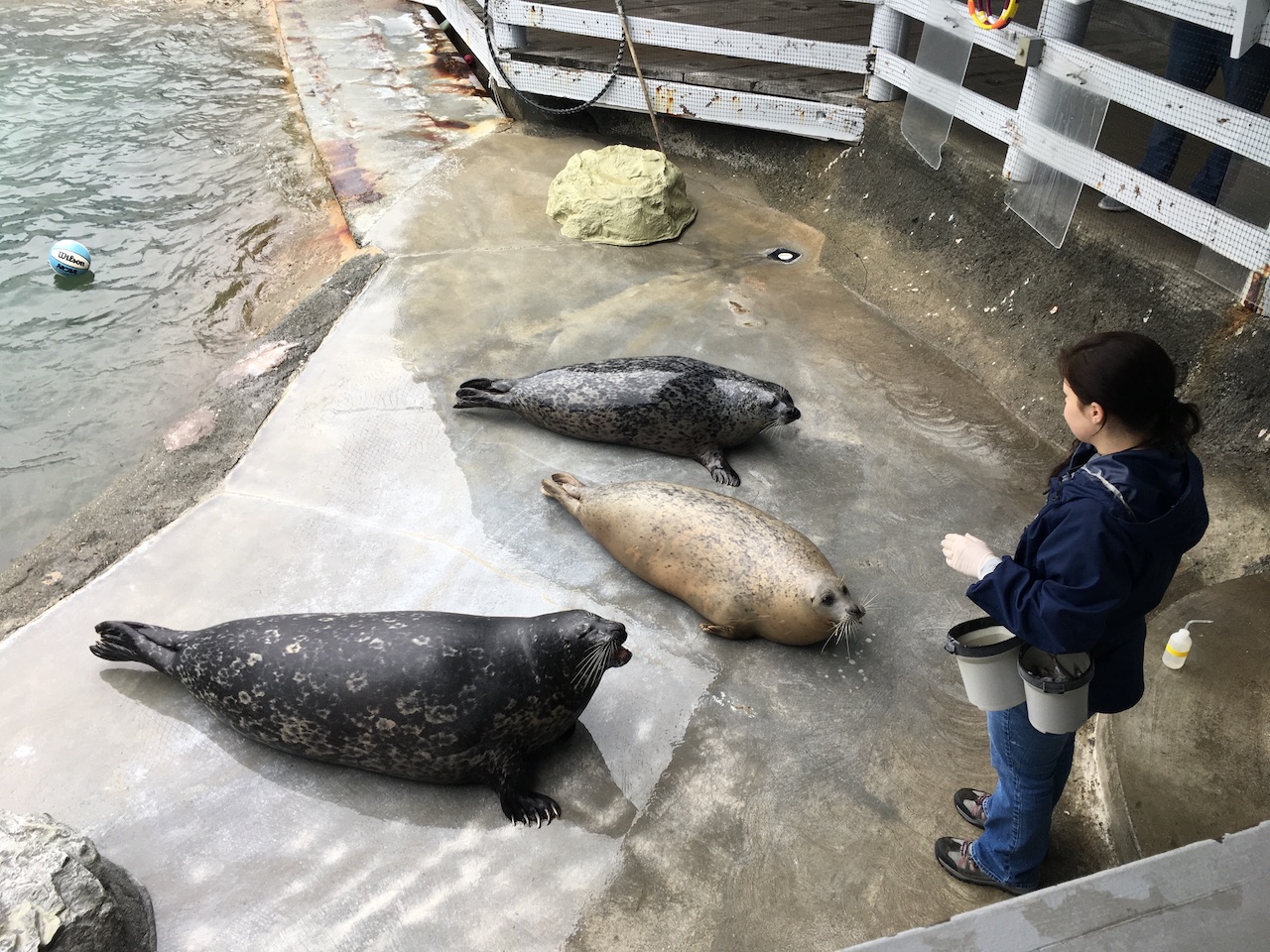 Crescent City, CA & Ocean World Aquarium Wacky Wanderers