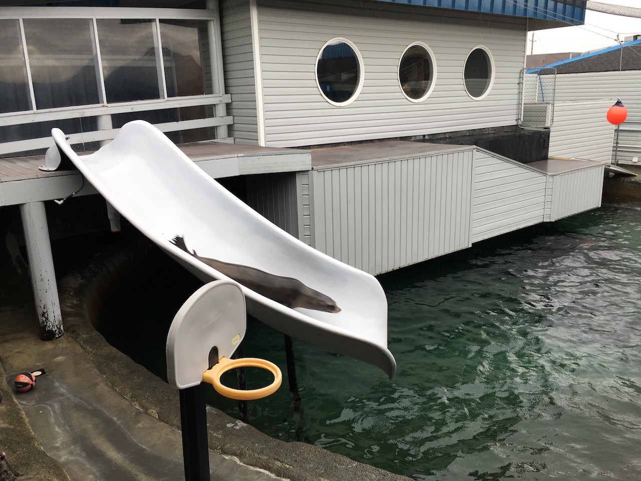 Crescent City, CA & Ocean World Aquarium Wacky Wanderers